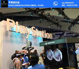 武漢匯譽網(wǎng)絡科技 聚焦北京游戲市場，以網(wǎng)絡游戲與計算機網(wǎng)絡工程技術服務雙輪驅動